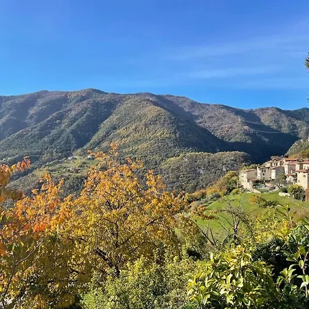 Casa Giacomo - Wunderschoenes Am Gardasee-tremosine Tatil Evi *