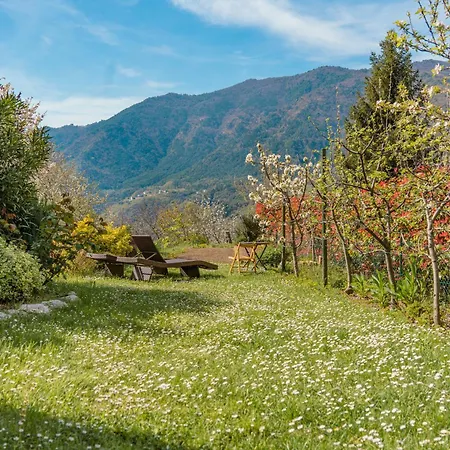 Casa Giacomo - Wunderschoenes Am Gardasee-tremosine Tatil Evi Pieve (Lombardy)